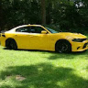 Meet your Posher, Austin